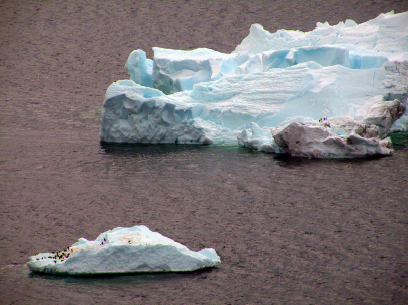 iceberg off Cape Crozier