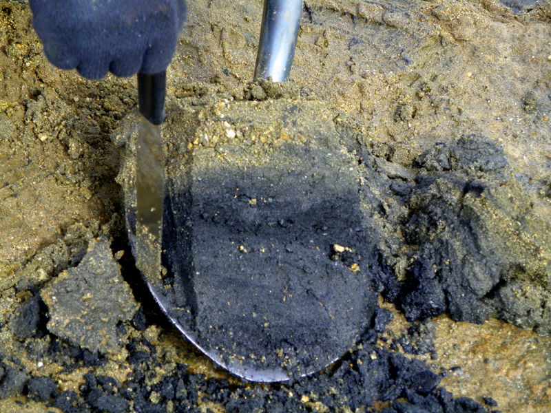 detail of sediment sample