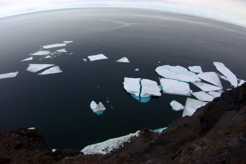 Icebergs near Tent Island