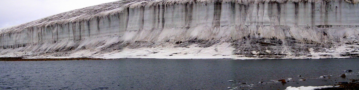 Wilson Piedmont Glacier front